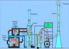 Membership & Services